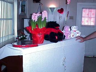Valentines Day at GTB 2000 #3