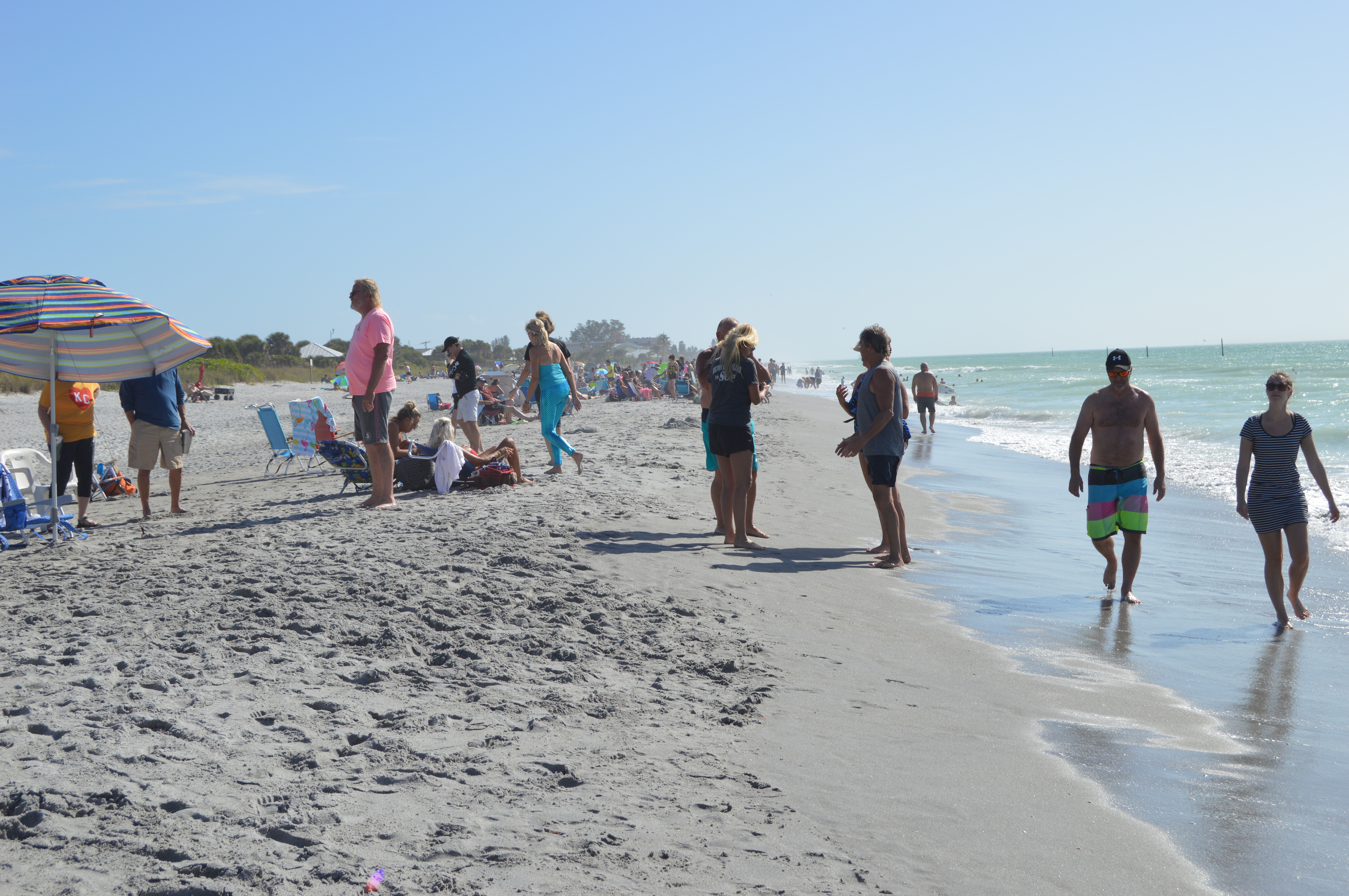 New Years Day Plunge 2021 - Photos by MJ Bishop - Slide 23  