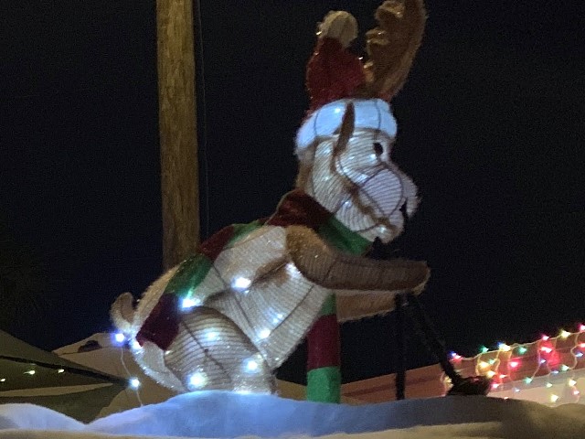 Christmas Eve 2020<br>Photos by Dan McLean - Slide 11